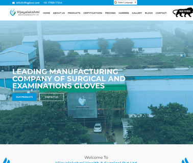 Vijayalakshmi Health & Surgical health gloves