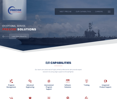 Precise Systems Inc financial information