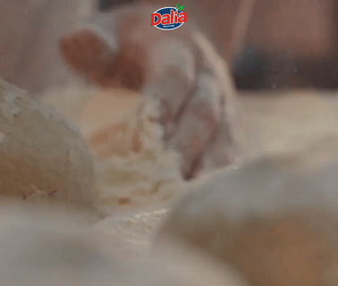 Home - Dalia Foods cereal grains