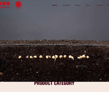 Qingdao Boon Foods dry cat