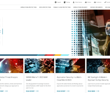 Radware cybersecurity protection