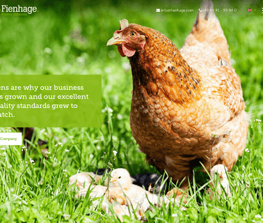 Fienhage Poultry-Solutions Gmbh lower die