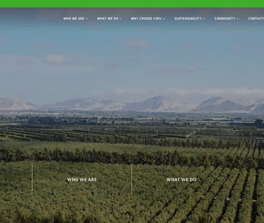 Sociedad Agricola Viru S.A dry fruit slicer