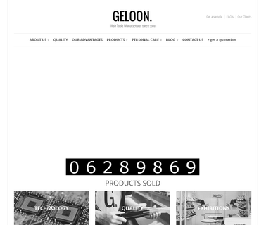 Geloon Electronic Technology dual lcd monitor