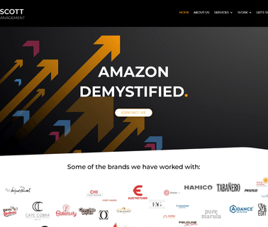 Albert Scott Support for Amazon Sales marketing york