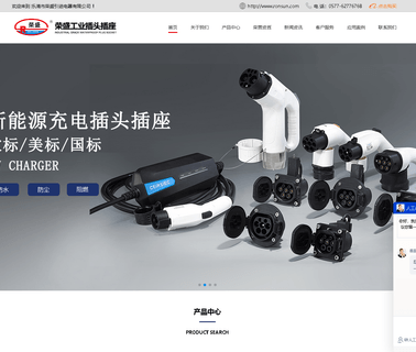Yueqing Rongsheng Introduced Electrical industrial plugs sockets