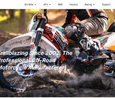 Zhejiang Bosuer Motion Apparatus 250cc dirt