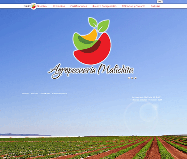 Trufresh alta calidad
