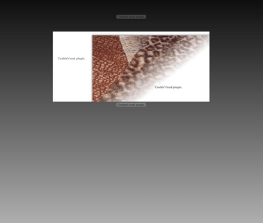 Orion Conceria Srl sides printed