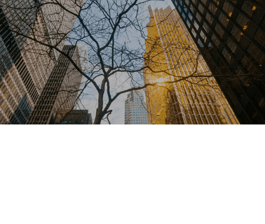 Electronic Imaging Systems Corp electronic sector