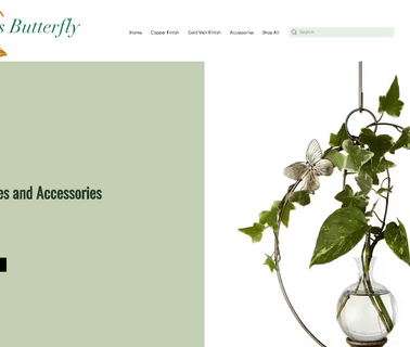 The Brass Butterfly mini plant