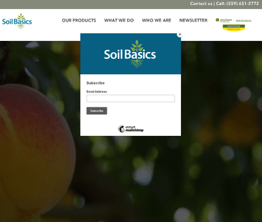 Soil Basics Corporation the basics