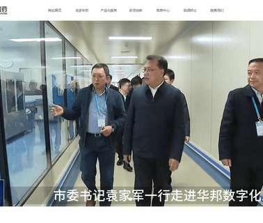 Chongqing Huapont Pharm pharm