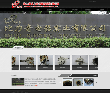 Biliqi Electric Appliance fans lighting