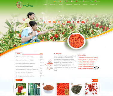 Ningxia Pure Goji Biology Technology berry goji