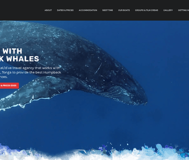 Swim With Humpback Whales in Tonga! and hale