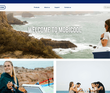 Mobicool International cool box