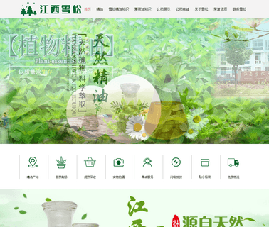 Jiangxi Xuesong Natural Medicinal Oil essential clove