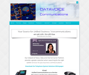 Datavoice Business Telephone Systems Internet Services business systems analyst