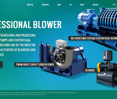 Shandong Zhangqiu Blower turbo valve