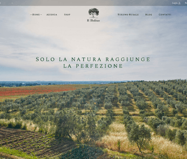 Soc.Agr. Sciuga S.S. - Il Molino agr tyres