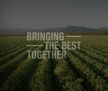 Levarht & Zonen B.V, J.M. foods importer