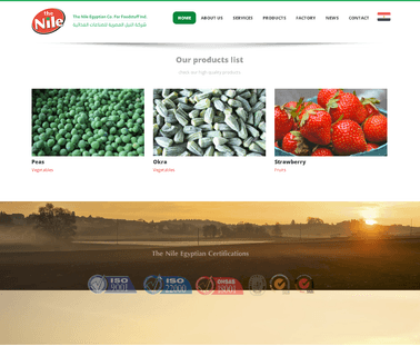 The Nile Egyptian Co. for Foodstuff Ind egyptian manufacturers