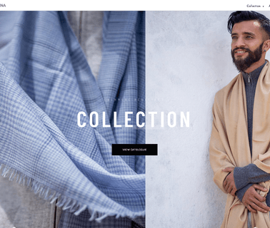 Gayatri Pashmina Inc kashmir pashmina