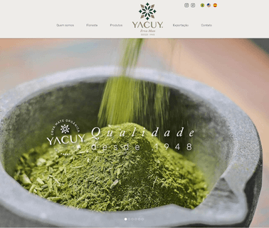 Yacuy Erva Mate drinks instant