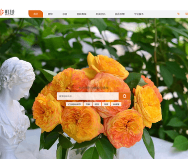 Zhejiang Hongyue Seed bulb white