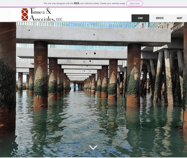 Welcome To Tinnea control consulting