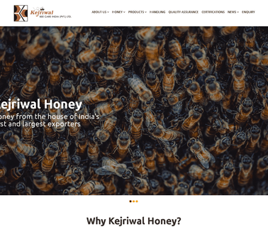 Kejriwal Honey insurance automotive
