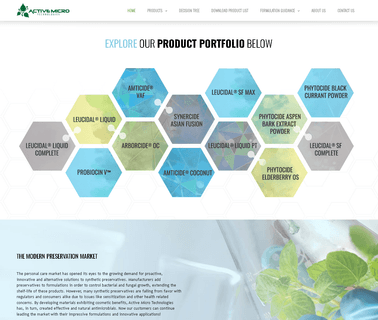 Active Micro Technologies Srl active professional