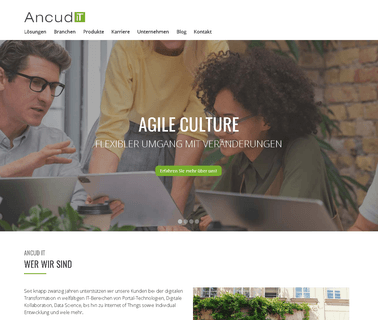 Ancud It-Beratung computing digital