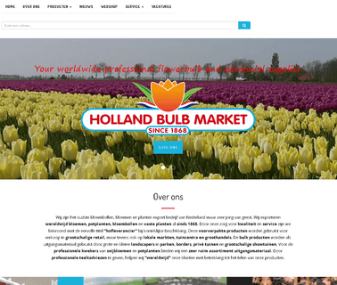 Holland Bulb Market bulbs bulk