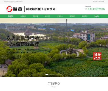 Hebei Silicon Valley Chemical Co63,Ltd additive chemical