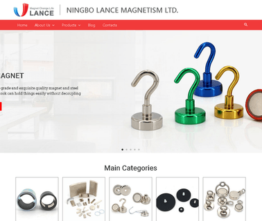 Ningbo Lance Magnetism Application lance hoses