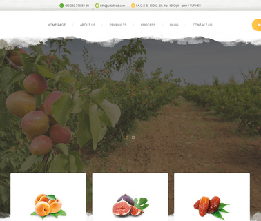 Usta Gida San. Ve Tic. A.S organic vegetable garden