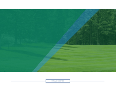 Turf Merchants Inc. turf lawns