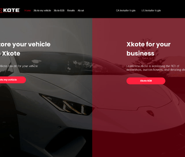 X Kote Paint Renewal Syst automotive marine