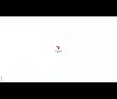 Vigos Gida Sanayi Ve Ticaret A.S confectionery distributor