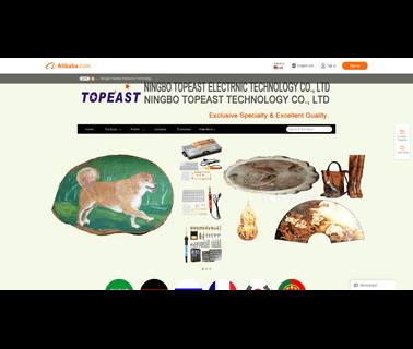Ningbo Topeast Trading solar security lights