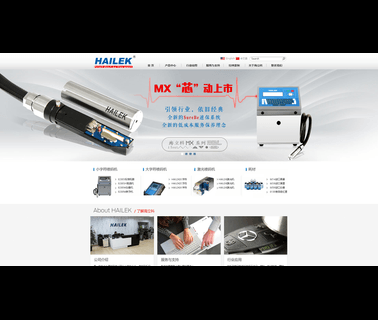 Shanghai Hailek Electronic make industry