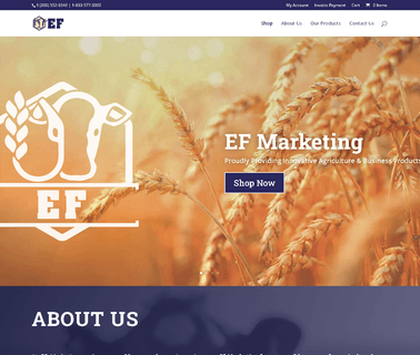 Home - Ef Marketing - Home bin grain