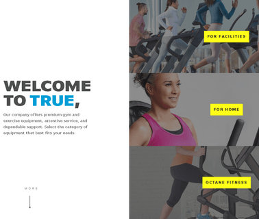 True Fitness Technology, In commercial strength