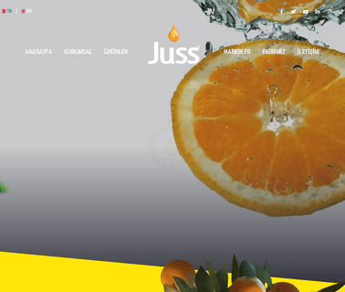 Oguz Gida Sanayi Ve Ticaret A.S beverages soft drinks