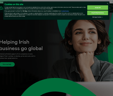 Enterprise Ireland enterprise