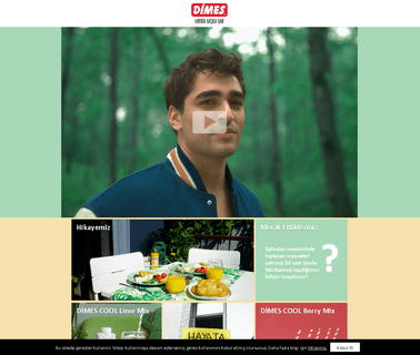 Dimes Gida Sanayi Ve Tic. A.S: Profile cold food storage