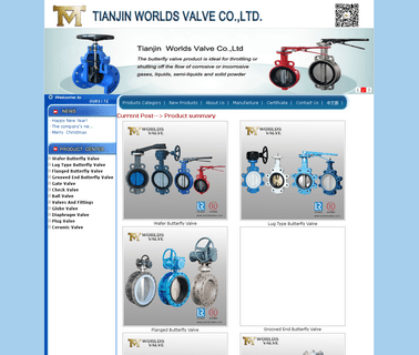Tianjin Worlds Valve flange check valve
