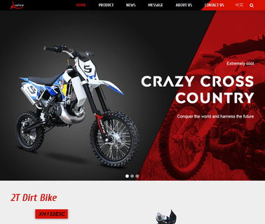 Wuyi Shine Bike Industry 250cc dirt